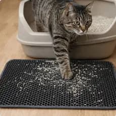 Tapete Higiênico Sanitário Coletor de Areia P-M-G Caixa de Areia Gatos Anti Sujeira Envio no Mesmo Dia