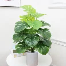 18 Folhas Costela De Adão Artificial Buquê 70 Cm