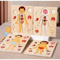Quebra-cabeça Corpo Humano Infantil Educativo Anatômico Madeira Órgãos Pedagógico Lúdico
