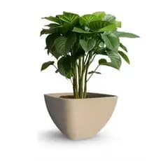 Vaso de planta em polietileno quadrado cônico - Ref. 66