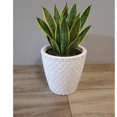 Vaso em Polietileno - Diamante 01 com prato coletor