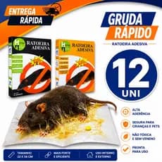 Jogo Adesivos Placas Controle de Pragas Urbanas Multiuso Sem Cheiro Praticidades gruda