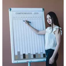 Calendário Anual 2025 Cinza Adesivo Compromissos + caneta - ideal para escritorios, escolas agendar
