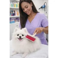 Rasqueadeira para Pet Profissional com Pinos de Aço Inox | Ideal para Cães e Gatos | Remove Pelos Soltos