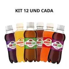 Kit 12 unidades Guaracamp Pet 200ML sabores