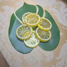 Kit de Porta Copos 20cm de Folhagem Artificial Costela de Adão Mesa Posta Decoração