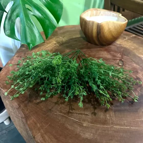 Plantas Matinho Folha Eucalipto Artificial Floral Folhagem P Decoração Casamento Arranjos Festa Casa