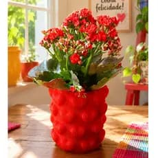 Vaso Decorativo Moderno Coração Ondulado | Cachepô para Plantas, Flores e Suculentas | Decoração Elegante