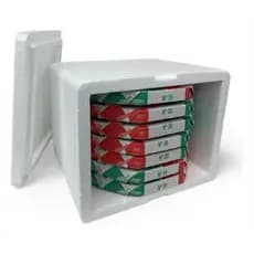 caixa de isopor térmica de 45L