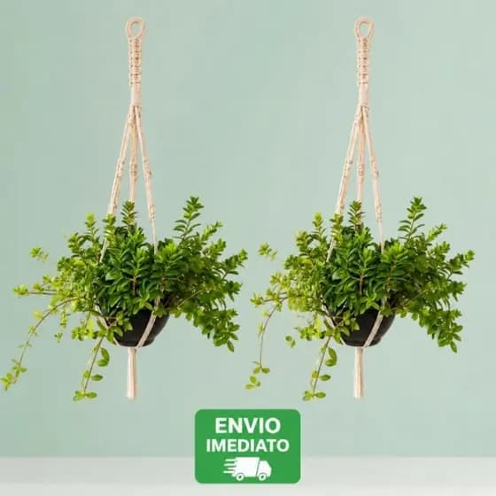 Suporte de planta... macramê  feito a mão...q 80 cm decoração boho para vasos produto artesanal QQ