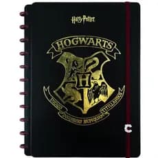 Caderno Inteligente Grande 20x27cm 80 Folhas Harry Potter Jandaia - 1 Unidade