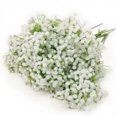 Galho Artificial Flores Complemento Mosquitinho Linda