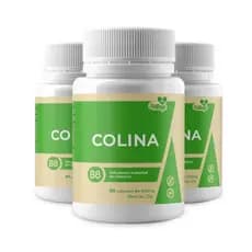 3X Colina Vitamina B8 180 cápsulas Envio Imediato