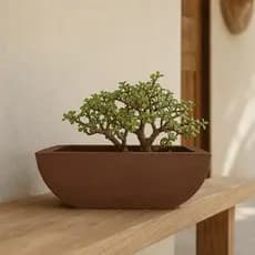 Vaso Decorativo Plantas Bonsai Polietileno Jardineira Cachepot 13x32x22cm Decoração Realista