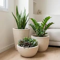 Kit Com 3 Vasos Decorativo Plantas Escovado Polietileno Com Prato Coletor Cone + Bojo + Bacia