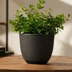 Vaso Bojo Escovado Polietileno Redondo Plantas Decorativo Prato Coletor Jardim Luxo Flores