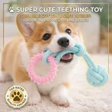 Brinquedo Pet Mordedor Resistente Cães Bola de Corda e Anel Massageador - Cores Pastel Alívio Stress e Limpeza Dental