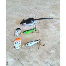 Iscas Artificiais Para Pesca de Traíras e Trairões com 3 Unidades