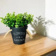 Arranjo no Vaso Garden preto Com Alça E Plantinha eucalipto Artificial Decorativa Plantas Artificiais Enfeite