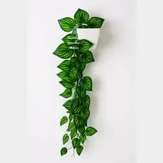 Planta Decorativa + Vaso Quadrado Branco G 3 Pendentes Artificial Folhas de Hera Begonia Jiboia