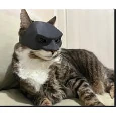 Máscara de Gato Batman – Acessório 3D para Pets, Cavaleiro das Trevas