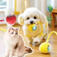 Bola Brinquedo Bolinha Para Pets Gato/ Cachorro/Auto Magico Elétrico Pets Usb Recarregável
