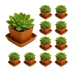 Kit 10 Vaso Quadrado 750ml e 10 Pratinho Marrom Terracota Decorativos Suculentas Decorativos Cactos