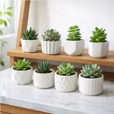 Kit 8 Vaso Decorativo de Gesso Texturizado Para Suculentas, Cactus e Plantas Artificiais Branco