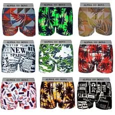 Kit 10 Cuecas Boxer Infantil de Microfibra Alpha Boys Original Roupas Masculinas