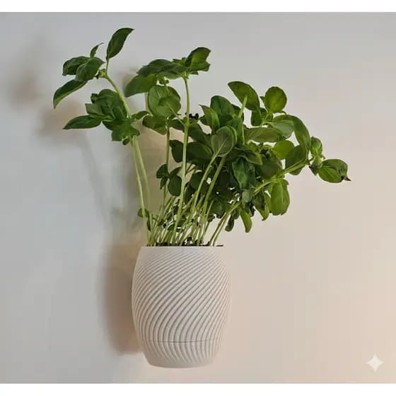 Vaso de Parede Decoração Planta Suculenta Ambientes