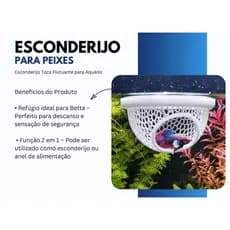 12 Cama de Betta