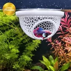 Esconderijo Flutuante para Peixes Betta Toca para Aquário Cama Folha Descanso Aquarismo Decoração