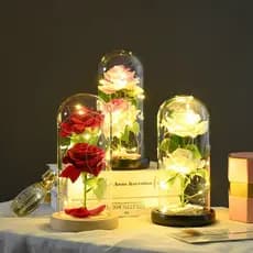 Luminária cúpula acrílico GRANDE 20 cm A Bela e A Fera A Rosa Encantada vermelha azul amarela preta O Pequeno Príncip