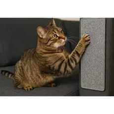 Tapete Arranhador para Gatos 60x40 cm Protetor de Sofá e Cama Box - Alta Qualidade - Auto Colante