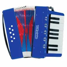 Sanfona Infantil 8 Baixos Semiprofissional 17 teclas Acordeon Gaita Musical Brinquedo Educativo