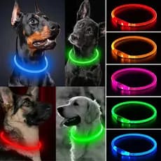 Coleira Para Cachorro Cães Gato Colar Luminoso Pescoço Led Recarregável USB Passeio Noturno Seguro