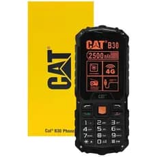Celular Cat B30 4G Idoso Dual Chip Câmera Tela 2.4" Rádio FM