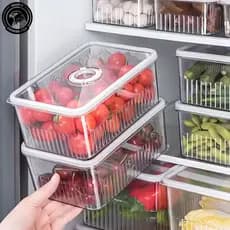 Organizador De Geladeira Verduras Frutas Porta Frios 21,3x13,8x9,3