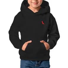 Moletom Canguru Infantil Menino Com Capuz Várias Cores