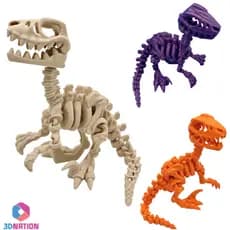 Velociraptor Dinossauro Esqueleto  Articulado Brinquedo Jurassic Fóssil Dino World Fidget Toy Cores