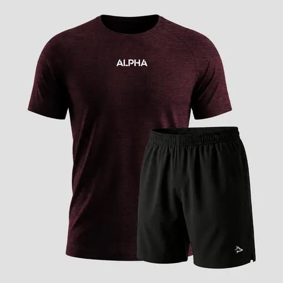 Kit Bermuda Lobo+Camiseta Dry Fitness Academia Alpha Co