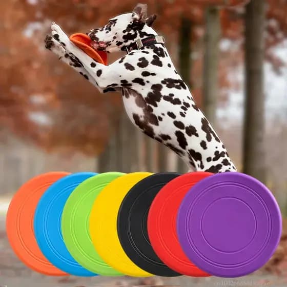 Frisbee De Silicone TPR Para Cachorro Brinquedo Interativo Resistente Para Treino E Arremesso