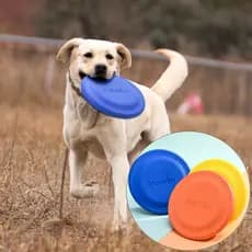 Frisbee Macio De Silicone Para Cachorro Brinquedo Antiderrapante Resistente Para Treino E Mordida