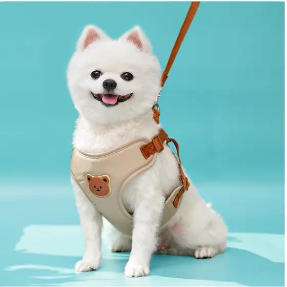 Peitoral Com Guia Para Cachorro E Gato Estampa Urso Ajustável Para Passeio De Pets Pequenos E Médios