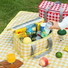 Bolsa Térmica Portátil Cesta Piquenique Praia Camping Retrátil 13Litros