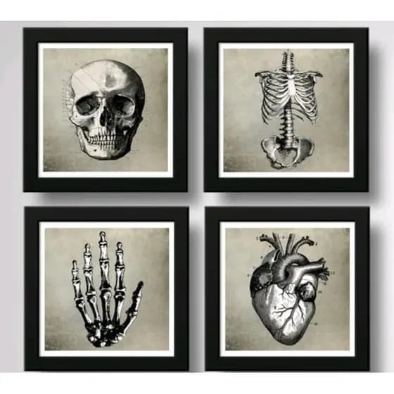 Kit 4 Quadro Decorativo Corpo Humano Anatomia Decoração Médico Preto e Branco - Painel Decoração