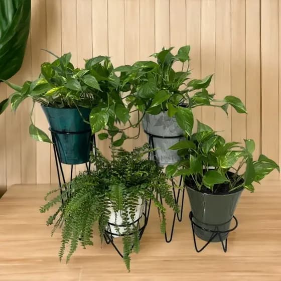 Kit 4 Suporte De Vaso Tripé Jardim Decoração Plantas Casa Cozinha Sala Nicho Quarto Cozinha Promoção