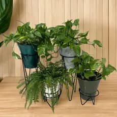 Kit 4 Suporte De Vaso Tripé Jardim Decoração Plantas Casa Cozinha Sala Nicho Quarto Cozinha Promoção