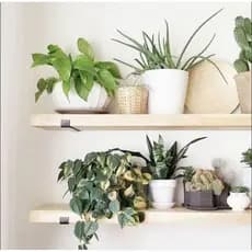 Kit 4 Prateleira Industrial Grande Com Mão francesa de ferro invertida Nicho Decoração rustica Luxo
