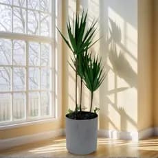 Vaso simulação sala de estar decoração verde plantação árvore falsa